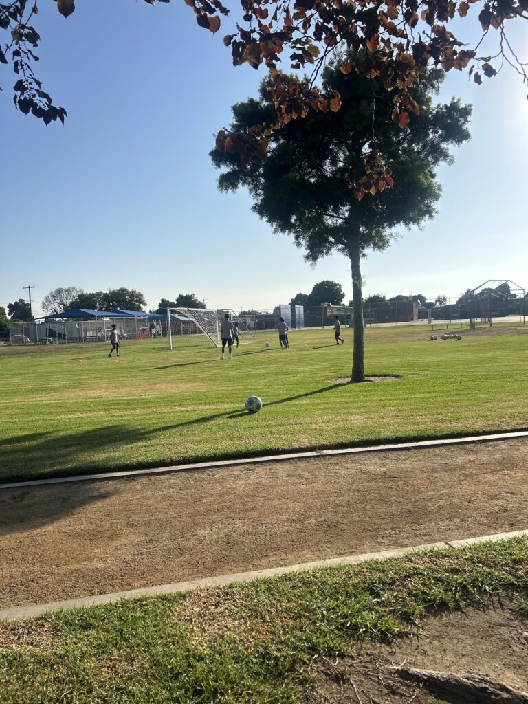 CD Cobras