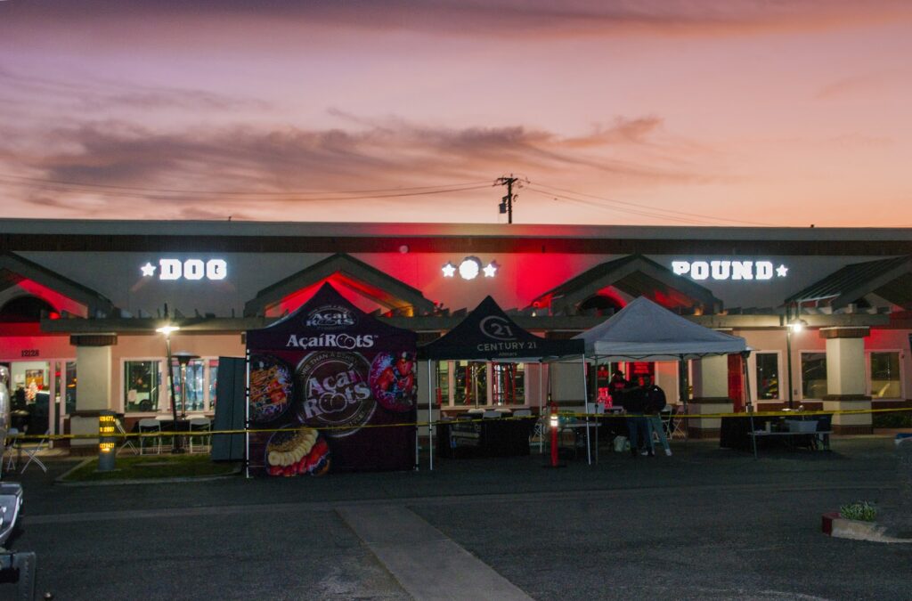 Dog Pound MMA & Fitness