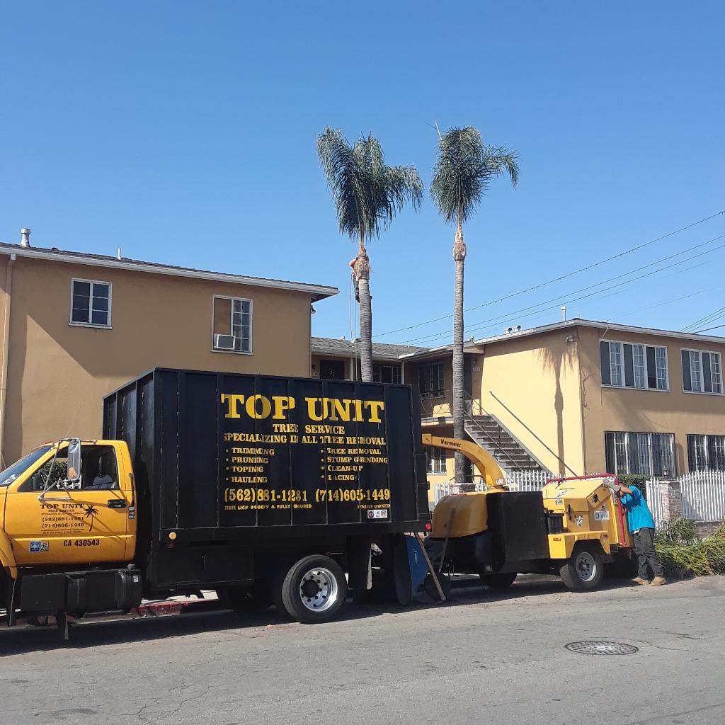 Top Unit Tree Service