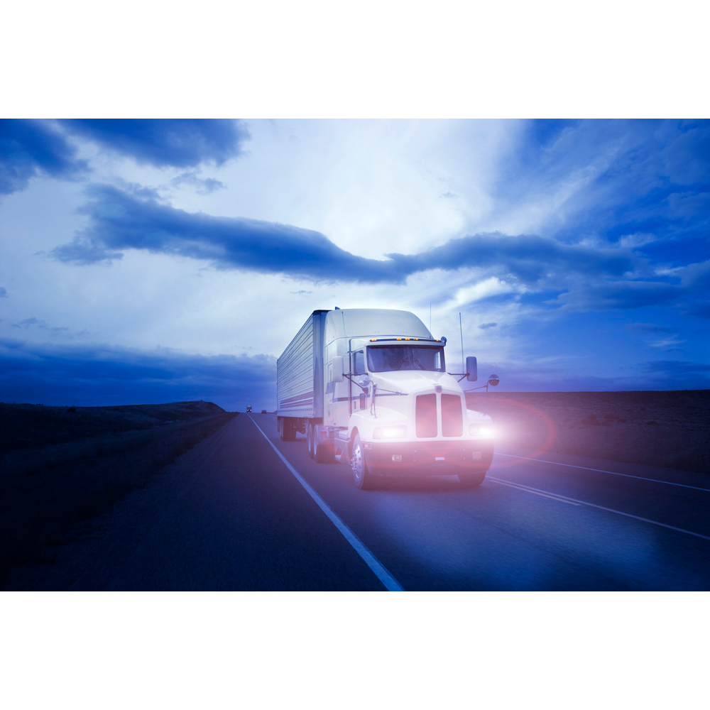 TransGlobal Solutions, LLC